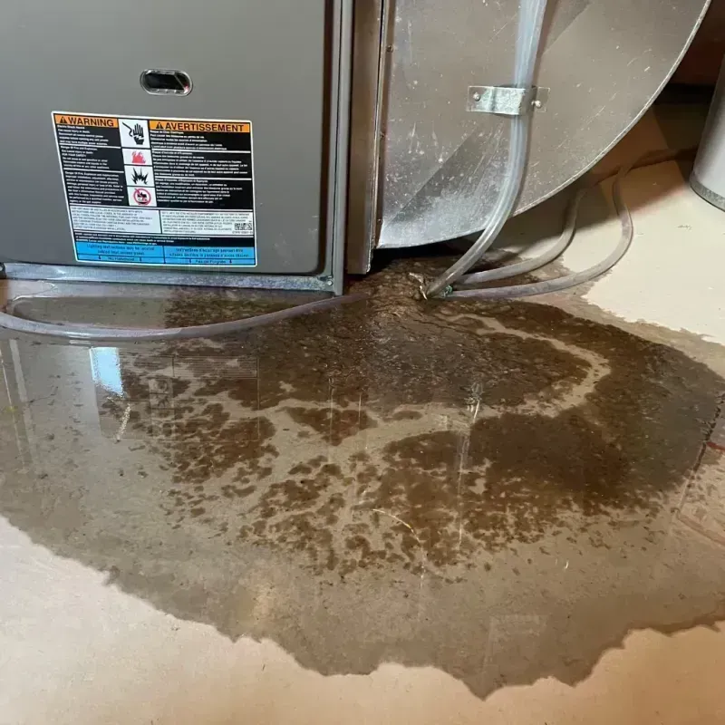 Appliance Leak Cleanup in Skokie, IL